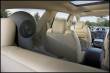 Los Angeles Auto Show : Tiger Woods unveils the new 2008 Buick Enclave Los Angeles Auto Show : Tiger Woods unveils the new 2008 Buick Enclave