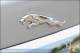 2009 Jaguar XF Supercharged Review (video) 2009 Jaguar XF Supercharged Review (video)