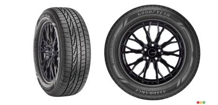 Goodyear Assurance WeatherReady tire