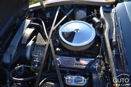 1975 Bricklin SV-1, engine