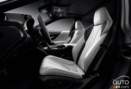 2021 Lexus ES Black Line SE, interior