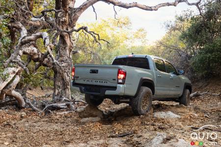 2022 Toyota Tacoma Trail, three-quarters rear