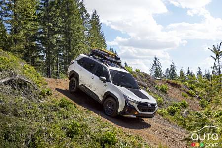 Subaru Forester Wilderness 2026, on the trail