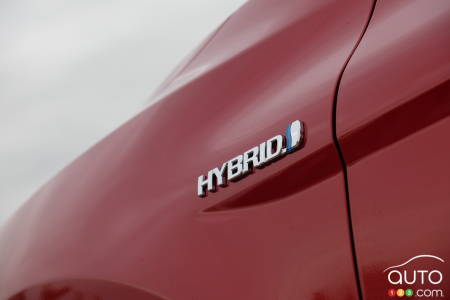 Toyota Camry hybride 2020, écusson