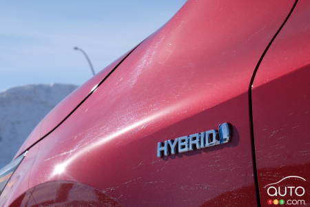 Toyota Corolla hybride 2021, écusson hybride