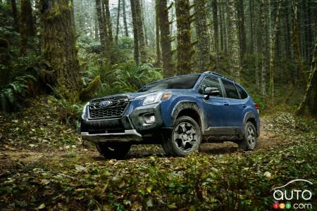 Subaru Forester Wilderness
