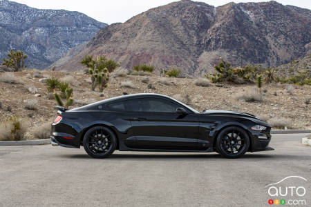 Ford Mustang Shelby special edition - Profile