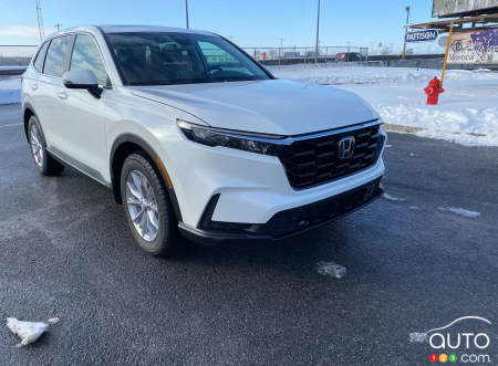 Honda blanche