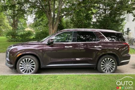 Hyundai Palisade 2023, profil