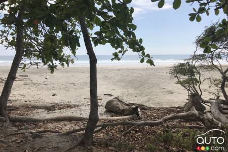 Another Costa Rican beach