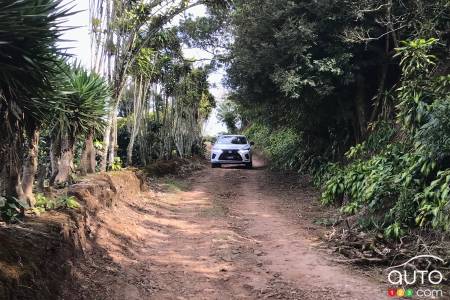 The 2020 Lexus RX 450h, on a country road