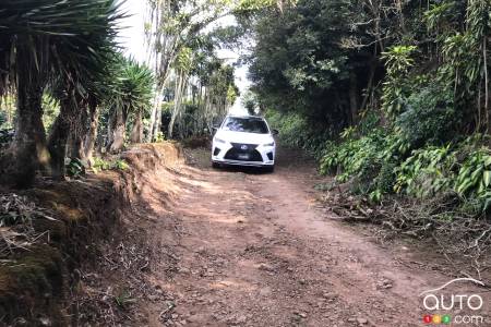 The 2020 Lexus RX 450h, on a small country road