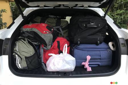 The 2020 Lexus RX 450h, trunk