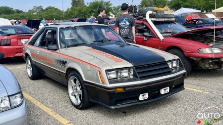 A 1979 Mustang Official Indy Pace Car edition