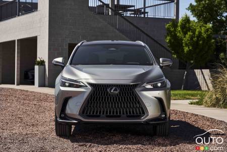 Lexus NX 350h 2024 gris métalique