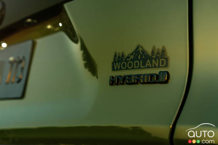 Toyota RAV4 Woodland 2024, écusson Woodland