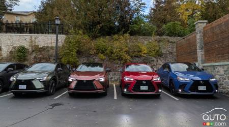 Deux nouveaux Lexus NX à gauche, et deux anciena à droite