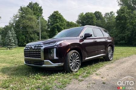 2023/24 Hyundai Palisade