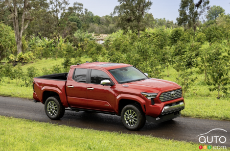 2024 Toyota Tacoma Limited