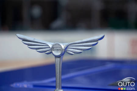 Les ailes de la SK8