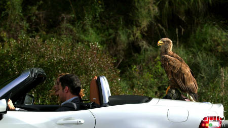 La Fiat 124 Spider 2017 s’offre 2 publicités pour le moins originales