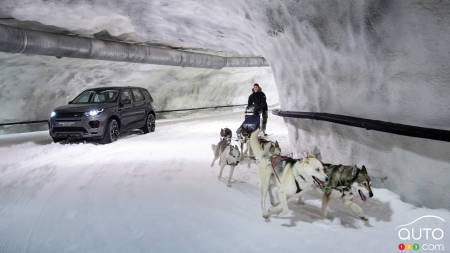 Horsepower vs. Dog power: Which is Faster?