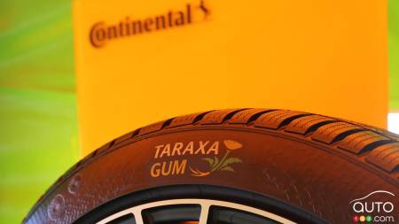 Tires Made From… Dandelions?
