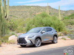 2022 Lexus NX First Drive: Grooming the Next Flagship