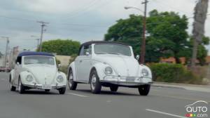 Is This a Miniature Volkswagen Beetle, Or a Giant?