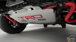 Rear coil springs for the 2022 Toyota Tundra