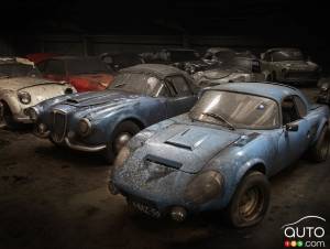 Une collection de 230 voitures classiques trouvée aux Pays-Bas
