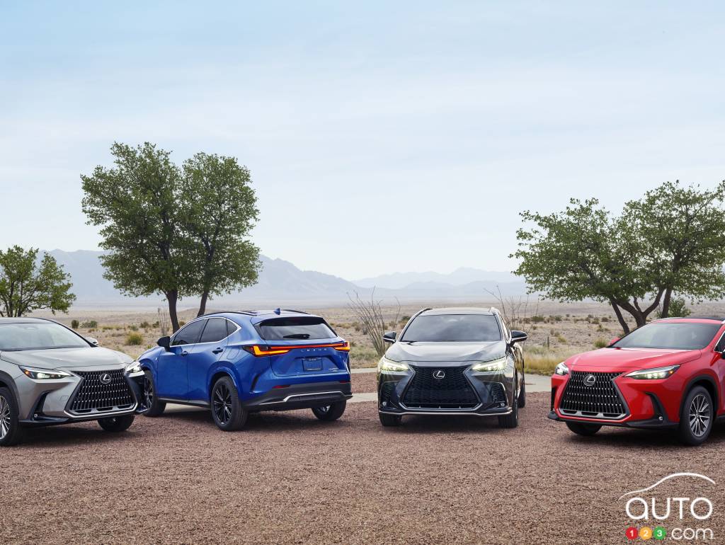The Lexus NX lineup