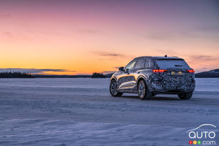 2024 Audi Q6 e-tron - Rear