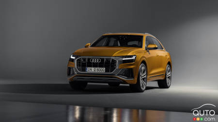 2019 Audi Q8