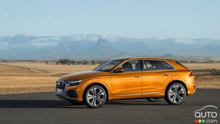 2019 Audi Q8