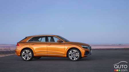 Audi Q8 2019