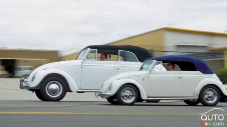 The two Beetles, side by side