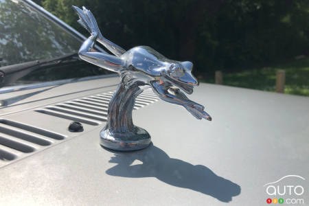 The 1981 Ford Escort, hood ornament