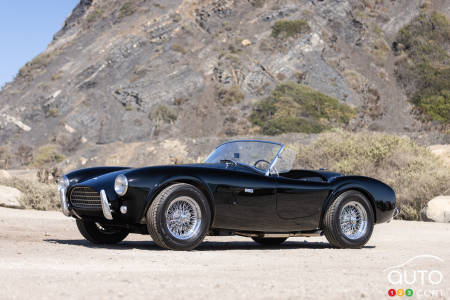 Shelby Cobra 289 1964