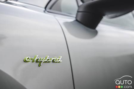 Porsche Cayenne E-Hybrid, badging