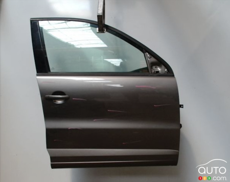 VW Tiguan door model