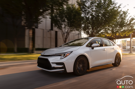 Toyota Corolla white