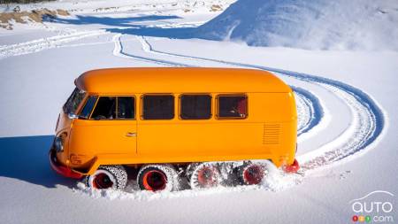 La Volkswagen Half-Track Fox, profil