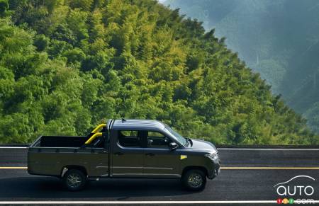 Wuling Zhengtu, profil