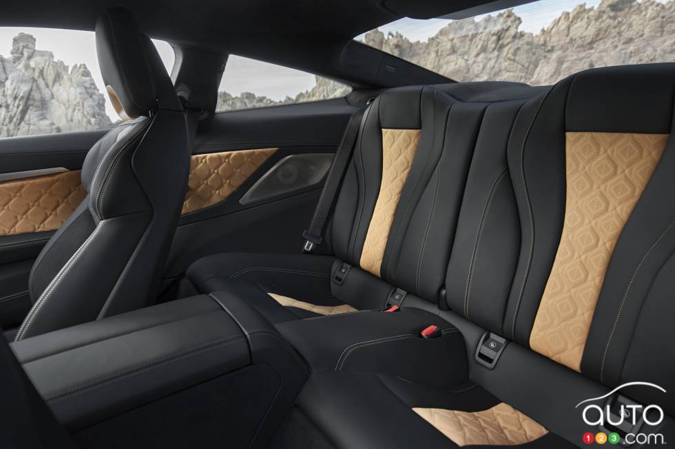 Introducing the 2020 BMW M8