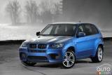 2010 BMW X5 M pictures