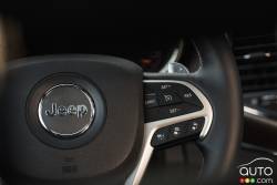 Steering wheel detail