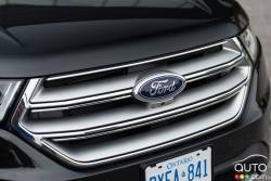 2015 Ford Edge Titanium front grille
