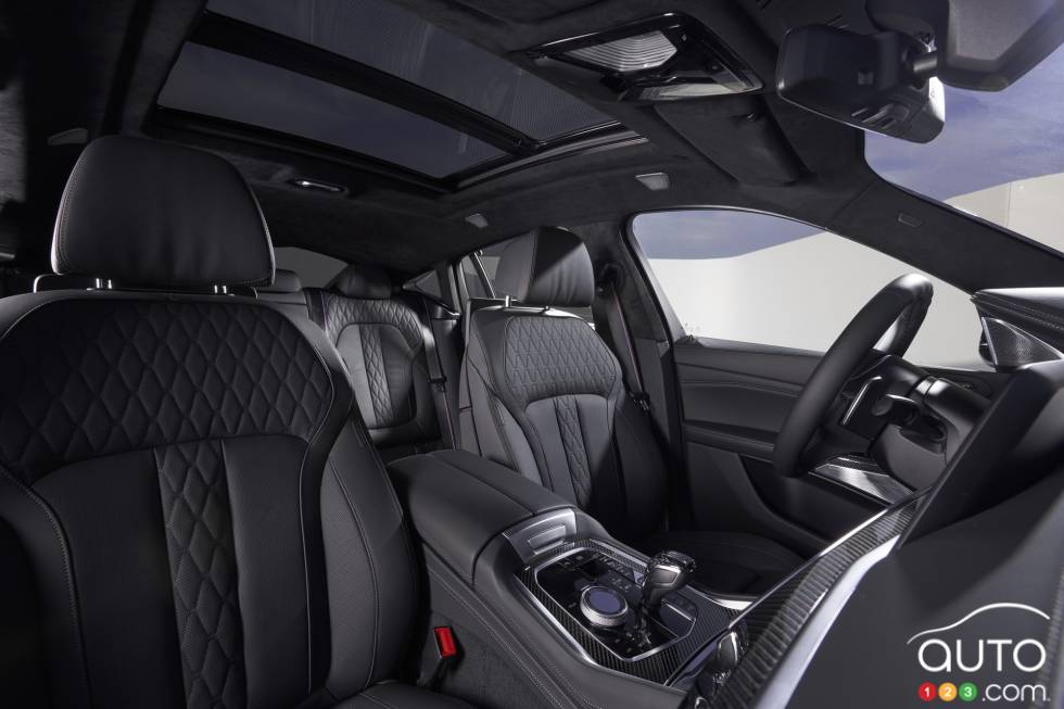 Introducing the 2020 BMW X6