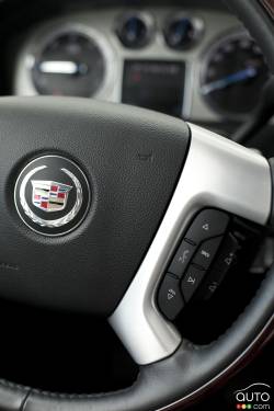 Steering wheel close-up